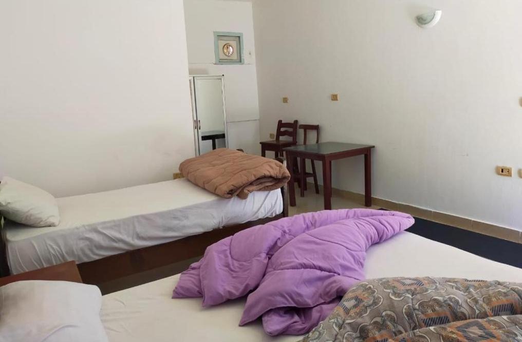 Dahab Tribe Guest House Buitenkant foto